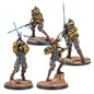 WC Hegemony Aggressors