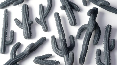 Basing Bits - Saguaro Cacti