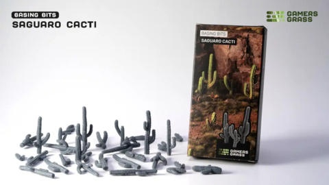 Basing Bits - Saguaro Cacti