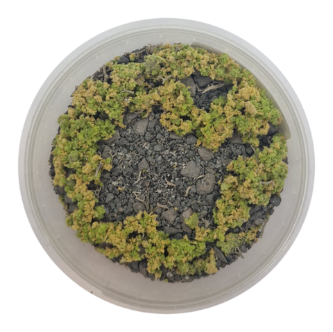 Basetopping: SIEGE GROUND (140ml) (battlefield series)