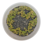 Basetopping: SIEGE GROUND (140ml) (battlefield series)