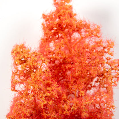 RED-ORANGE – FANTASY BUSHES