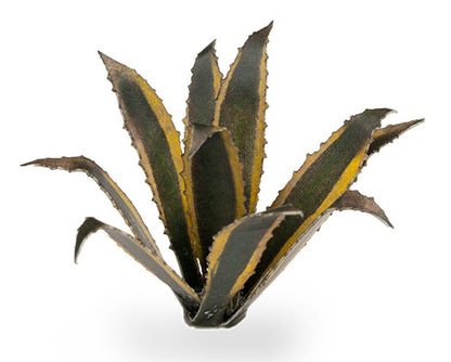 Laser Plants - Agave