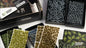Boxed Sets - Enchanted Forest Basing Box