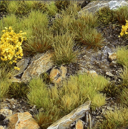 Highland Tuft Set Wild