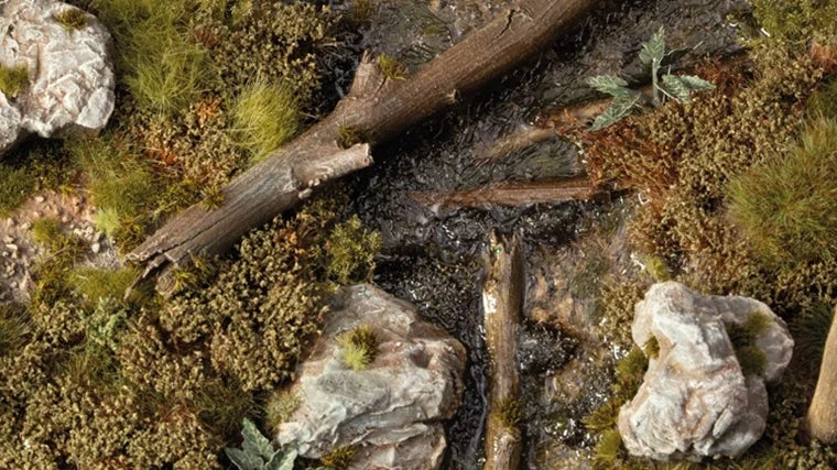 Swamp Shrubs
