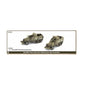 Marine 75mm SPM Self-propelled Gun Platoon (x2)