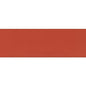 Model Color: 028 Verkehrsrot (Vermillion), 17 ml (909)