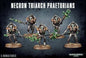 Triach Preatorians