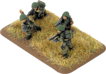 Engineer-Sapper Company